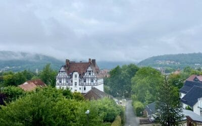 12 von 12 – Juli 2022