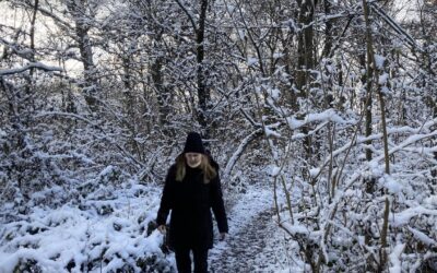 12 von 12 – Dezember 2022