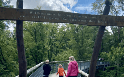 Baumkronenpfad im Nationalpark Hainich
